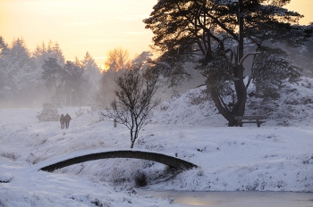 Winter in Bornia web