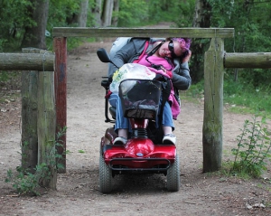 Disabled-397192_640 uitsnede